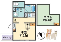 loulou今津（ルルイマヅ）の画像