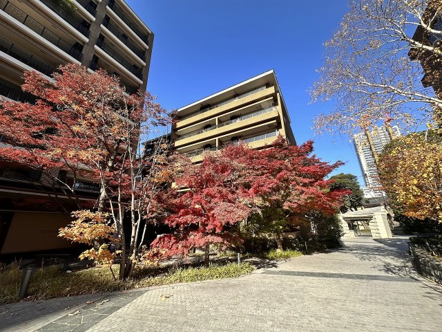 広尾ガーデンフォレストD棟