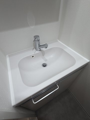 GENOVIA世田谷桜の洗面所