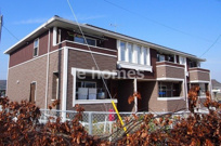 ソラーナの画像