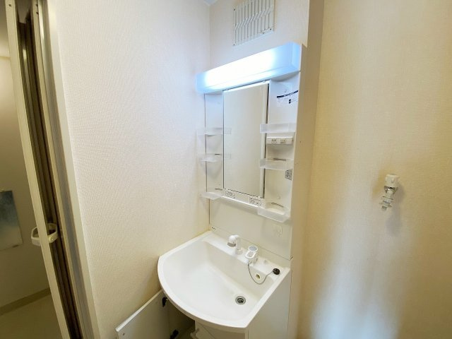 ピアハイツの洗面所