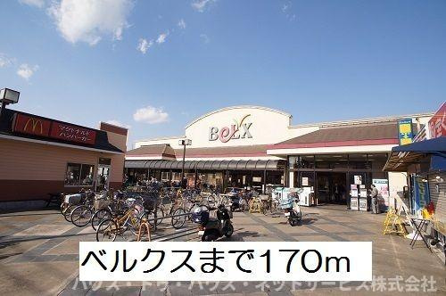 ル・ソレイユのその他