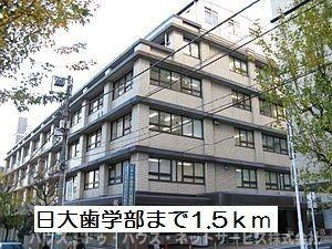 ル・ソレイユのその他