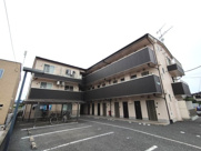 アイリッシュコートの画像