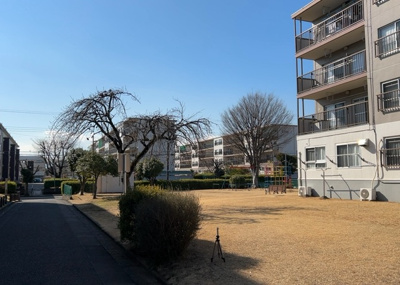 【展望】 | 相武台団地２１０７号棟 | 眺望を気にして物件を探す場合、前面に建物が建っていないか現地で確認しましょう！前面に建物があると景色はもちろん、日当たりや風通しにも影響が出てきます。住んだ時のことを想像しながら現地見学をしましょう。