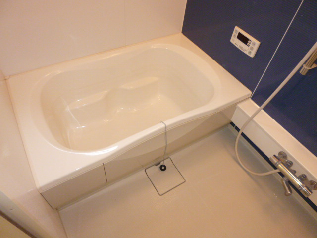 ソル・グレイスＡの浴室|追い焚きバス