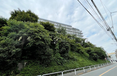 【周辺】 | 秀和志村城山レジデンス　15213