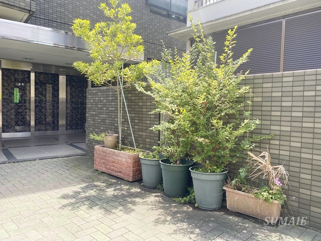 フレグランス田端のその他|植栽です☆