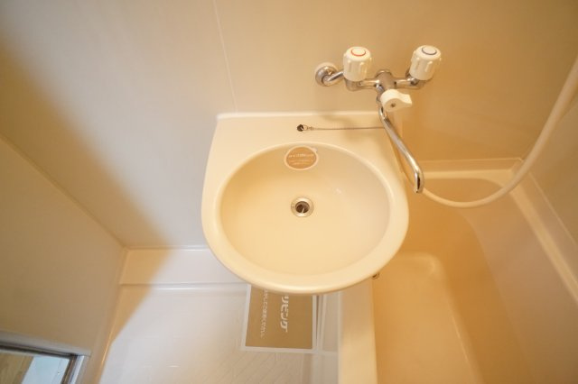 ロータスヒルの洗面所