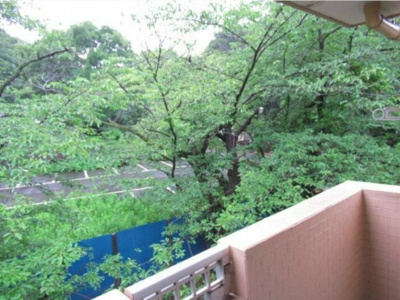 【展望】 | ニュー今井堂マンション