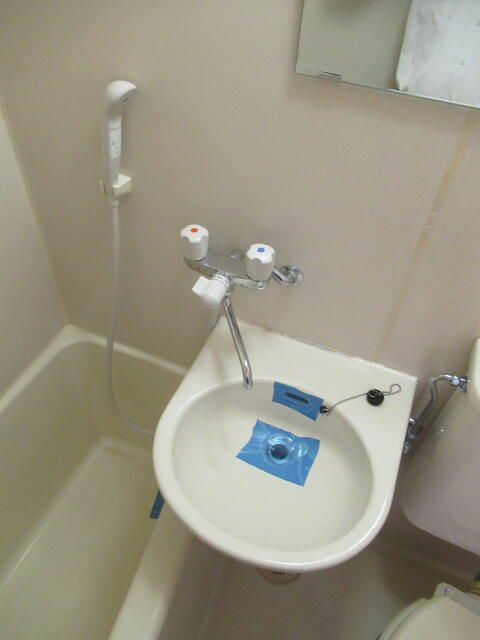 ローヤルガーデンの洗面所