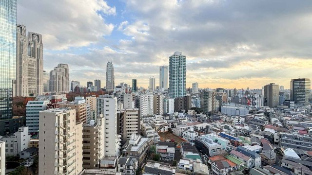 パークタワー西新宿の展望