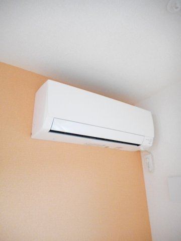 プリマステラのその他