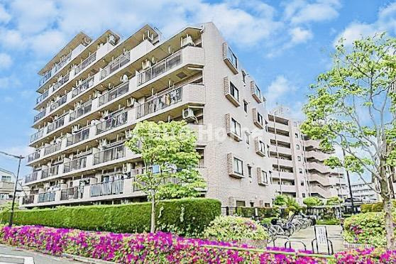 ダイアパレス柴又の外観|外観