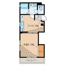 リビオン・タートルの画像