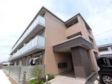 Daisy Groundの画像