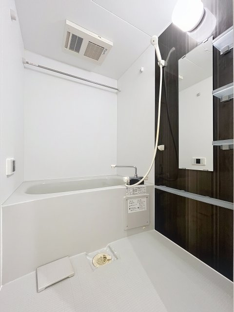 ＬＡＰｉＳ本郷の浴室