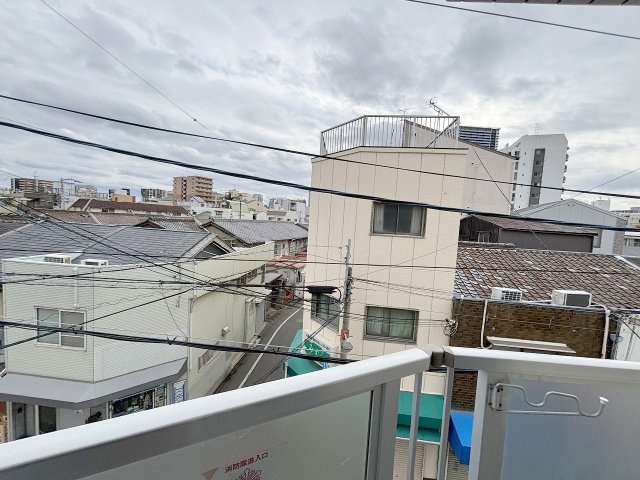 Park house HINOの展望