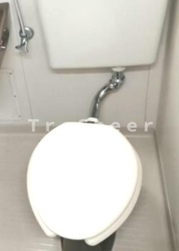 ハイツウエムラのトイレ