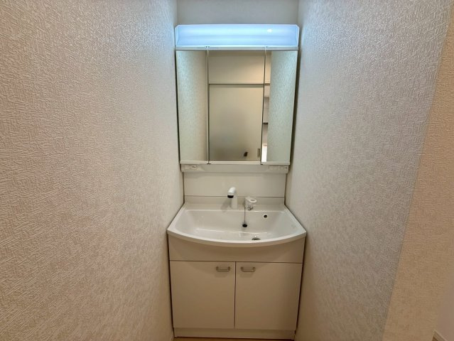 クレイドルガーデン糸満市座波 第２・２号棟の独立洗面台|ハンドシャワー付き洗面化粧台＆洗濯機置場