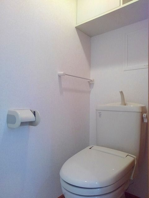 ラシ－ヌⅡのトイレ