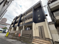 サイプレスの画像