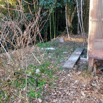竹の子ツカサ戸建のその他共用部分