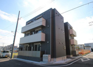 プラシードの画像