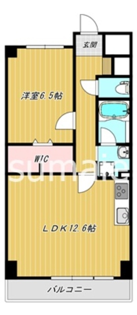 ALBIREOの間取り|人気の1LDKです。