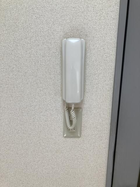 セドルハイム王子のセキュリティ