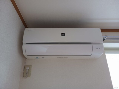 【その他】 | セイバリ－