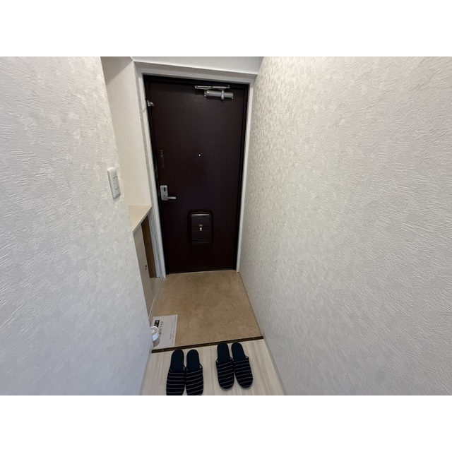 ヴィラ中川の玄関