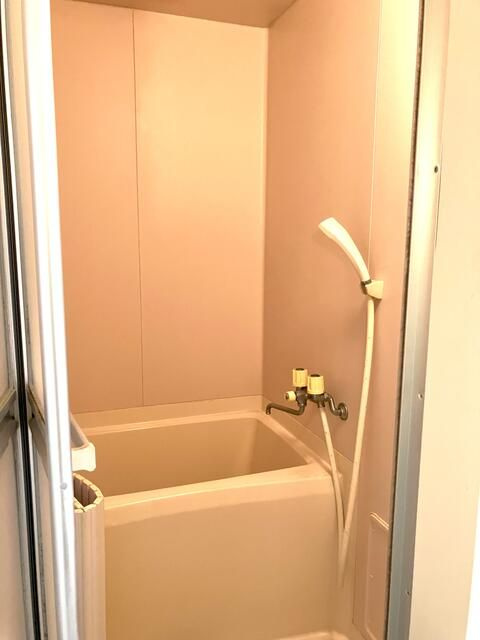 アナナスヒルズ