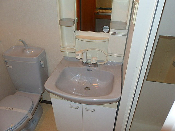 ディナスティ神戸元町通の洗面所