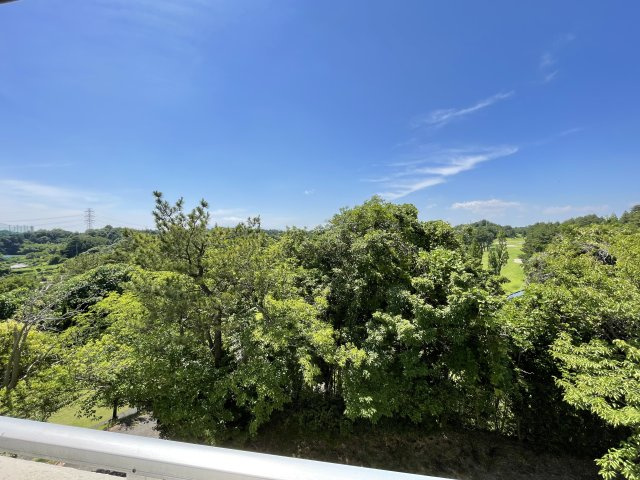 【物件からの展望】