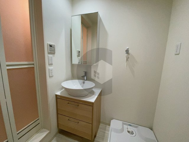 フジパレス森河内東2番館の独立洗面台