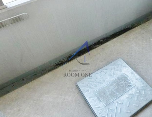 ザ・プレミアムスイート高田馬場のバルコニー|バルコニーです。