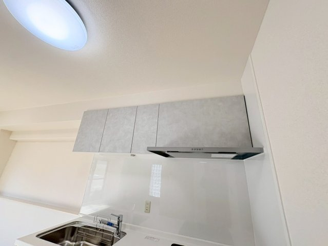 プリメーラリヨンのその他