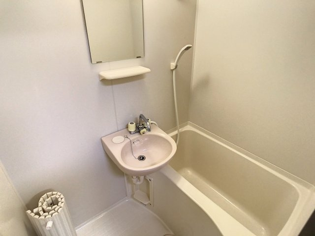 スターリーハイツの浴室