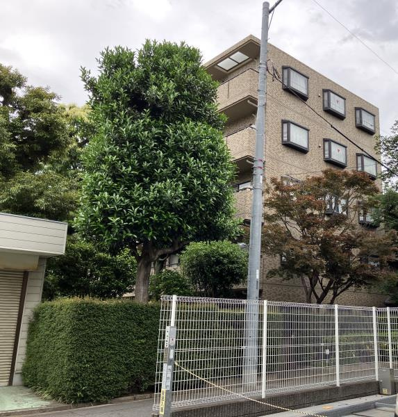 サンストリームの外観