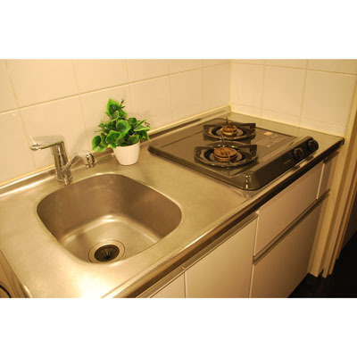 トーシンフェニックス牛込神楽坂の内装