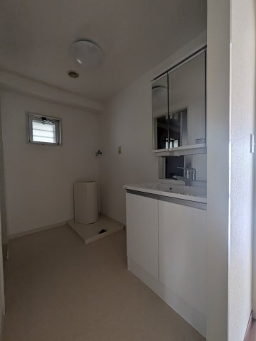 RICウエストコート4番街東棟2番館の洗面所