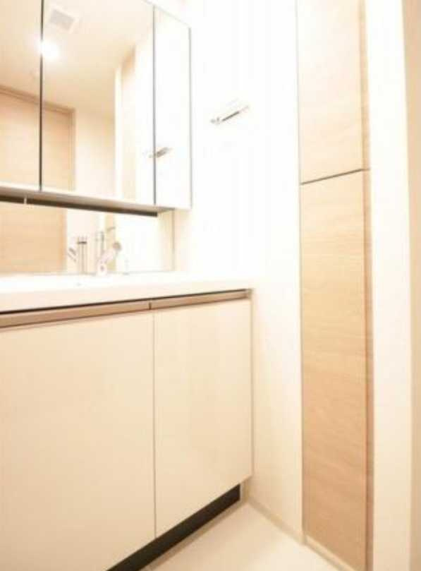 BluRock青葉台　築浅　ペット相談　ネット無料の洗面所