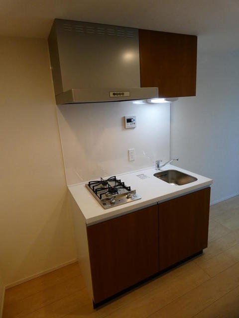 パークナードフィット南青山Vistaのキッチン