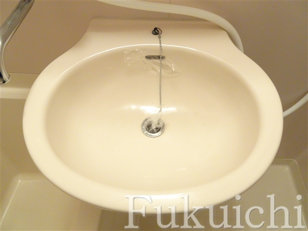 シャトーNAKANOの洗面所