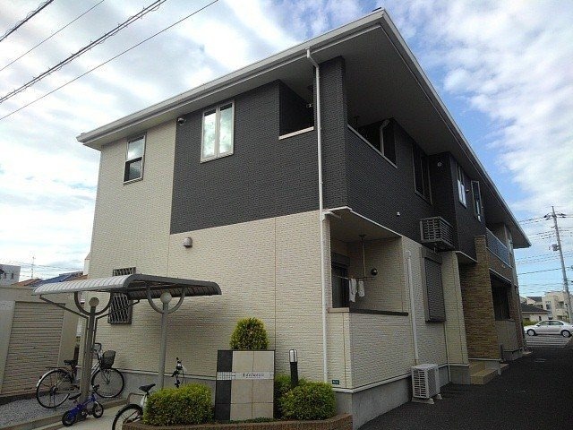 エーデルワイズ