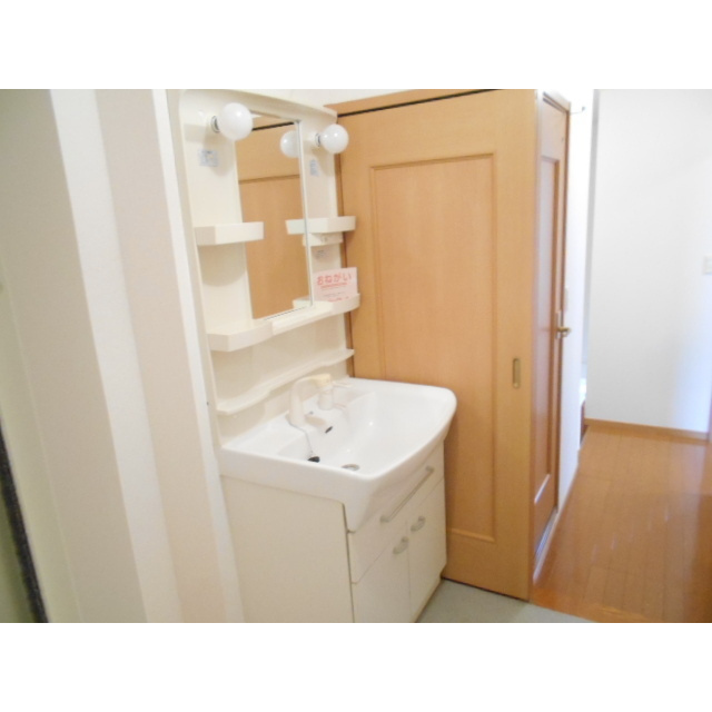 リバーサイドホヅミⅠの洗面所