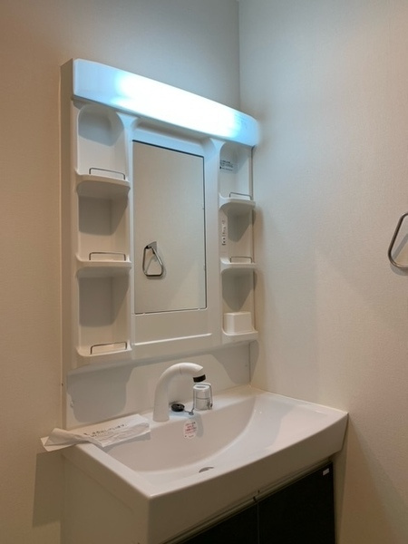 フリーデンの洗面所