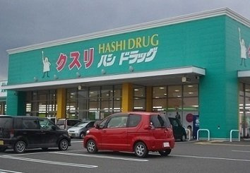 【周辺】 | サンシャインＢ | ハシドラッグ南福島店まで600m