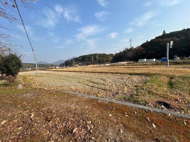 【その他】 | 柳井市伊陸大の口